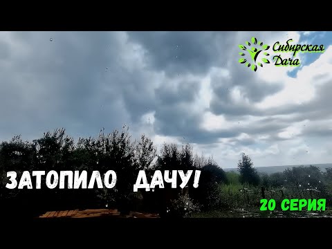 Видео: Каких только животных не встретишь! Сибирская дача - 20 серия