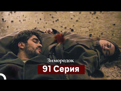 Видео: Зимородок 91 Cерия (Русский дубляж)