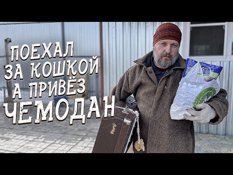 Видео: Спасение животных/ Проехал 200 километров и надеялся, что меня дождутся