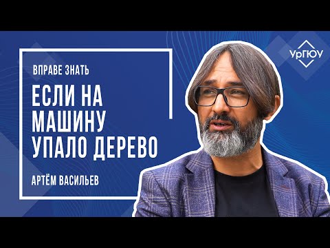 Видео: ВПРАВЕ ЗНАТЬ - Если на машину упало дерево | Артём Васильев