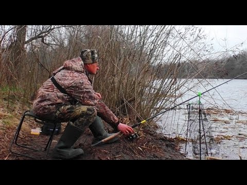 Видео: НАРЕШТІ РОЗПОЧАЛОСЯ. Плотва,  р. Псел. Весняний хід ПЛОТВИ.  Риболовля на Фідер. Рибалка на плотву.
