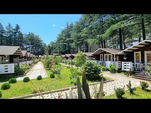 Видео: АБХАЗИЯ. ПИЦУНДА. ПАРК ОТЕЛЬ ECO HOUSE PITIUNT