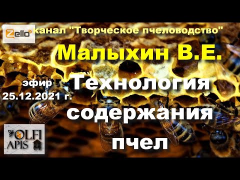 Видео: 25.12.21 г. Z-рация, канал "#Творческое_пчеловодство" #Малыхин В.Е. #Технология_содержания_пчел