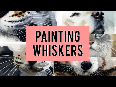 Видео: 5 способов нарисовать белые усы животных акварелью