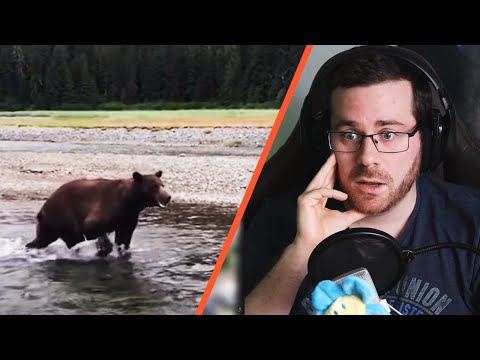 Видео: German reacting to A Normal Day In Russia #2 [Русские субтитры]
