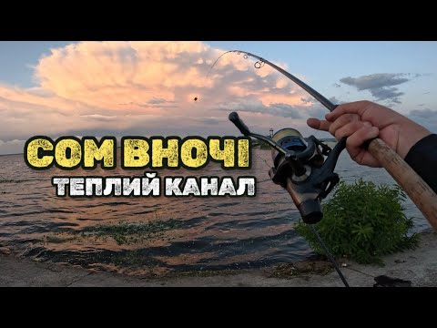 Видео: НІЧНА РИБАЛКА НА СОМА ТА ЛЯЩА НА ДНІПРІ! 2025 ТЕПЛИЙ КАНАЛ! НА ЩО КЛЮЄ СОМ?