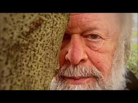 Видео: БГ💠Духовный Лидер ( 2024 )