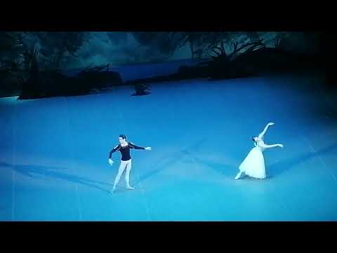 Видео: Жизель 5 ноября 2025