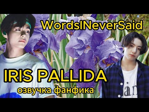 Видео: IRIS PALLIDA/ WordsINeverSaid / часть 1/ #bts #фанфикибтс #озвучкафф #вигуки #юнсоки