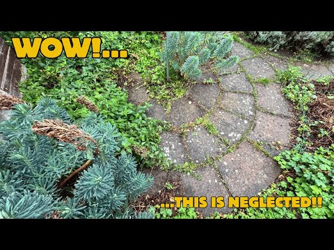 Видео: Сад вышел из-под контроля! Я удалил ШОКИРУЮЩЕЕ количество травы, прежде чем мощение потеряется НА...