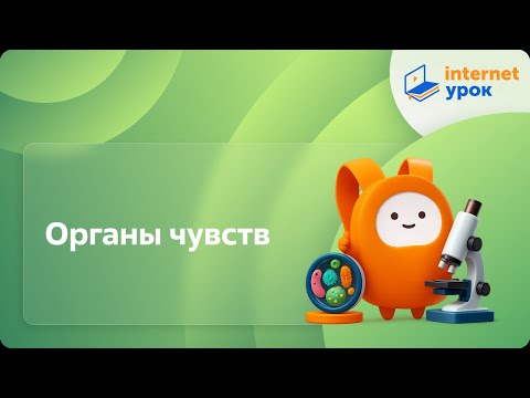 Видео: Органы чувств. Видеоурок по биологии 7 класс