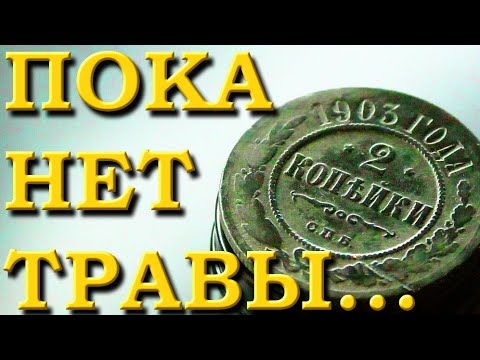 Видео: Сезон попёр! Коп с X-Terra 705 Nel Storm