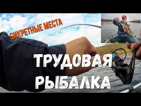 Видео: Трудовая рыбалка в секретных местах.