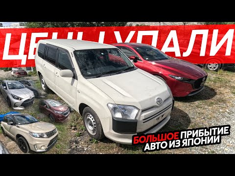 Видео: ЦЕНОПАД НА АВТО ИЗ ЯПОНИИ🔥БОЛЬШОЕ ПРИБЫТИЕ АВТОМОБИЛЕЙ⁉️ВСЯ ПРАВДА ПРО ДОП РАСХОДЫ😱FREED ISIS PROBOX