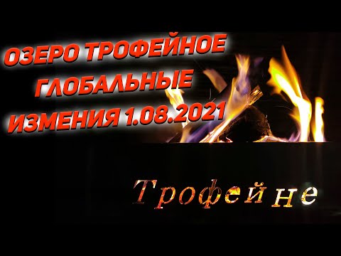 Видео: Озеро Трофейное| Карпфишинг перезагрузка|Глобальный изменения