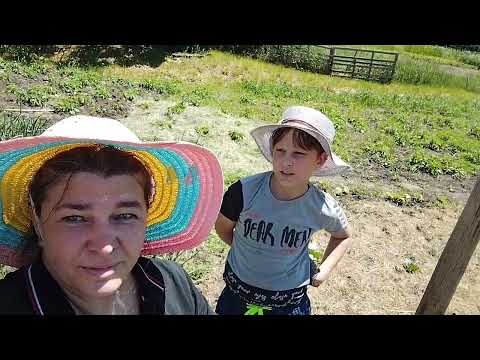 Видео: Покос огорода. На Кубань. Переезд в Ставропольский край.