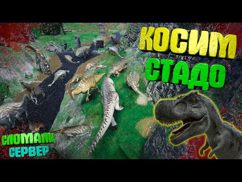 Видео: 🦖 Рексы врываются в стадо травоядных | Сломали сервер в The Isle 🦖