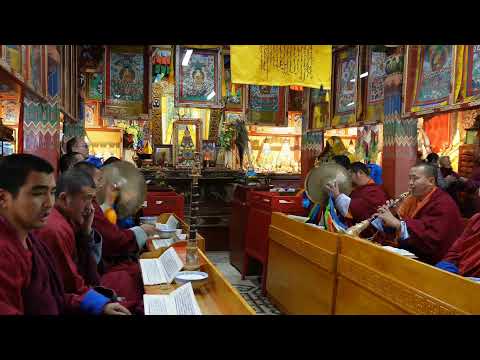 Видео: Ригсүм Гомбо чого