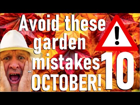 Видео: Десять ошибок в садоводстве, которых следует избегать в октябре