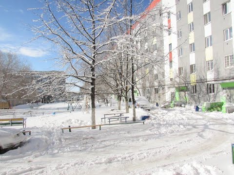 Видео: В Костанае буран ч.2