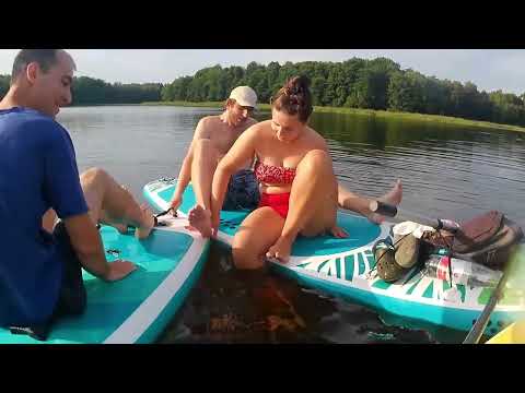 Видео: SUP река Граевка п. Колосовка, купаемся и плывём обратно 4
