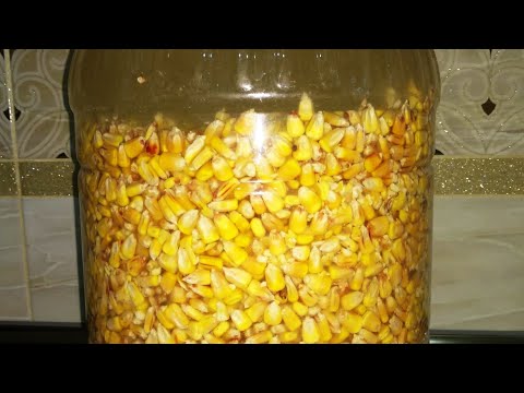 Видео: ФЕРМЕНТИРОВАННАЯ КУКУРУЗА. ПЬЯНАЯ КУКУРУЗА.Убойный рецепт.  #ферментированаякукуруза #карпфишинг