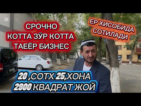 Видео: 8 октября 2025 г.