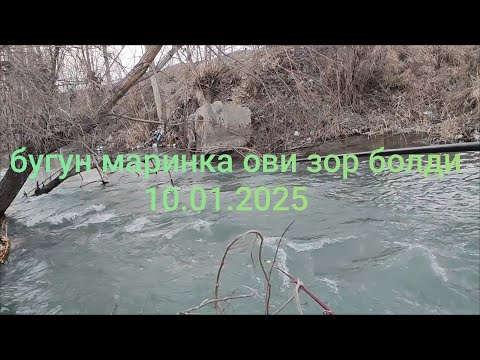 Видео: Маринка ови зор болди I didn't expect such a fishing trip.😄