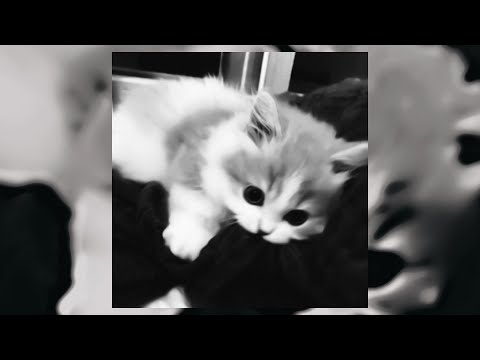 Видео: •°•плейлист чтобы ненавидеть себя•°•