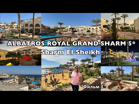 Видео: HOTEL ALBATROS ROYAL GRAND SHARM 16+ фильм 1.Обзор территории, пляжа, стандартного номера.