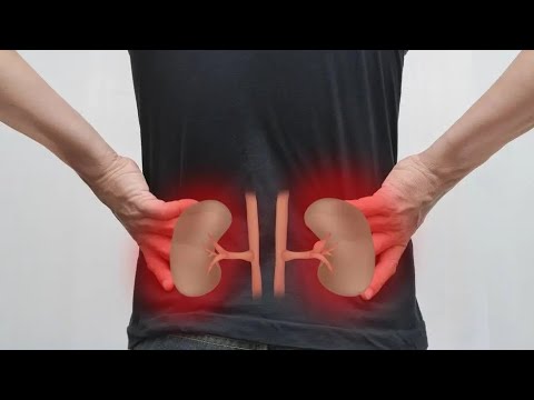 Видео: КРЕАТИНИН l МОЧЕВИНА l ОАМ l ДОКТОР АМАНБАЕВ 