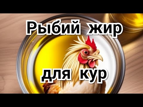 Видео: Рыбий Жир Для Кур: Мой способ ввода в рацион