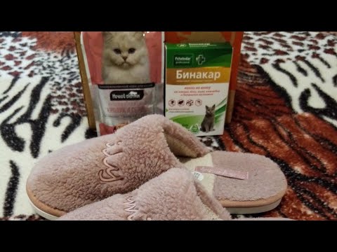 Видео: Мои покупки из интернет/магазина Озон, и Wildberis🛍️Кошачьи Радости🐱Обувь👋