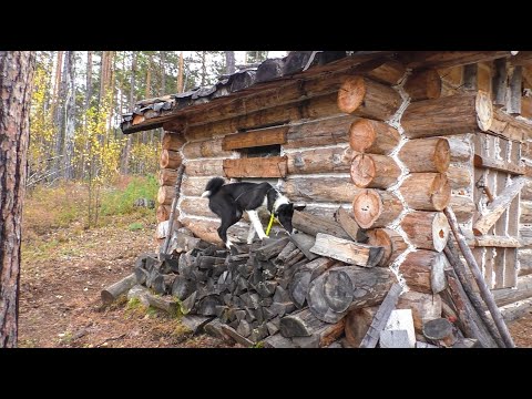 Видео: В проходной избушке. Пустил дым с кирпичей.