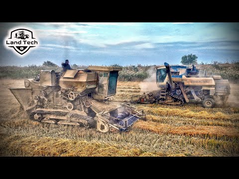 Видео: Комбайн ЕНИСЕЙ-954 на полугусеницах и ЕНИСЕЙ-1200Р - уборка риса!