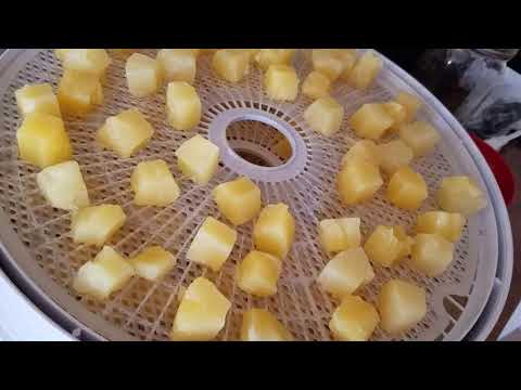 Видео: Дегидратация банки ананасов №10 | Как дегидратировать консервированные ананасы в дегидраторе Nesco