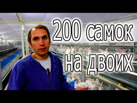 Видео: ЭТО ПОРАЗИТЕЛЬНО! ХОЗЯЙСТВО АЛЕКСАНДРА!