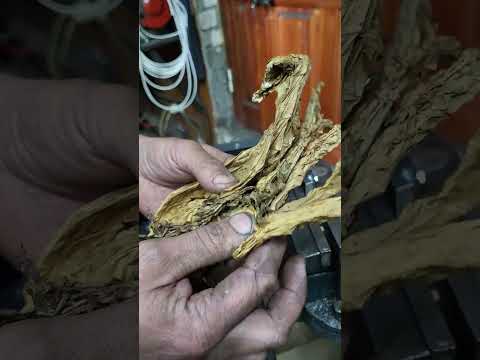 Видео: Табакорезка Новая с плавающими гребешками ИРС135/40/1М3