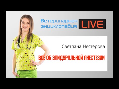 Видео: Эпидуральная анестезия