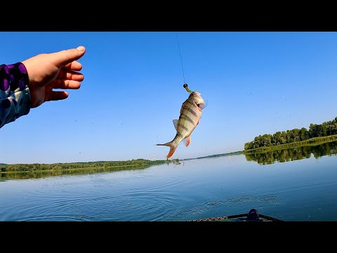 Видео: Хижака на 🏝️🏕️🔥Дніпровський Окунь 🍉 Super BASS😎