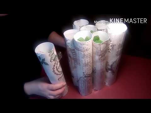 Видео: Распаковка заказа с черенками пеларгоний. Герань.