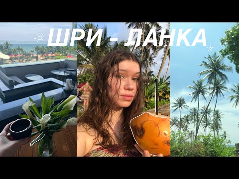 Видео: 🌴 ШРИ-ЛАНКА VLOG