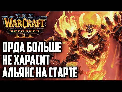 Видео: ОРДА БОЛЬШЕ НЕ ХАРАСИТ АЛЬЯНС НА СТАРТЕ: Warcraft 3 Reforged