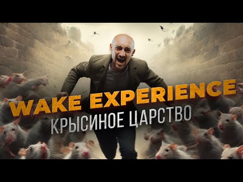 Видео: Wake Experience — худший вейк-лагерь в стране