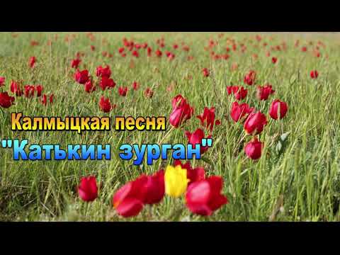 Видео: "Катькин зурhан".