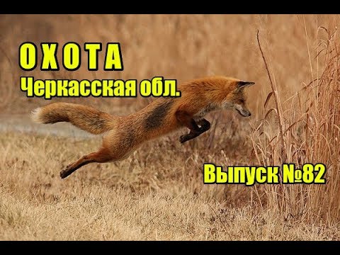 Видео: Охота | Черкасская область | Выпуск №82 (UKR)