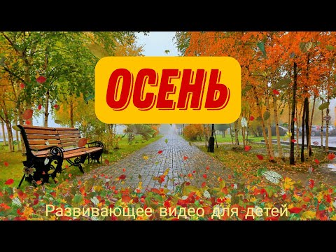 Видео: 🍁 ОСЕНЬ. Лексическая тема "ОСЕНЬ". Признаки осени для детей. Развивающее видео.