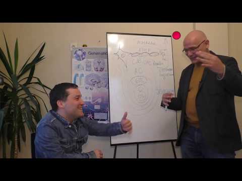 Видео: Можем ли да управляваме вегетативните процеси?