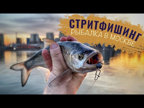 Видео: Рыбалка ДЛЯ КАЖДОГО На Москве Реке