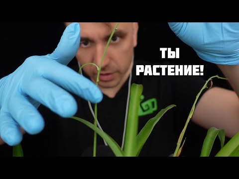 Видео: АСМР САМЫЙ ЛАСКОВЫЙ САДОВНИК 🌿